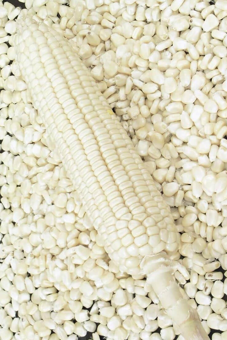 Kilosa Africa - Maize - Commodity Trading
